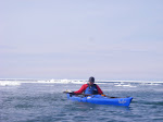 IMGP4503.JPG