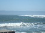 DSC00453.JPG