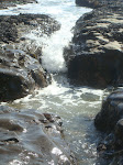 DSC00519.JPG