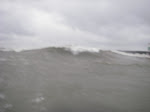 IMGP3781.JPG
