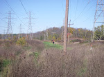 IMGP3886.JPG