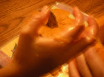 IMGP4004.JPG