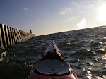 IMGP4741.JPG