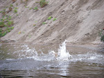 IMGP4930.JPG