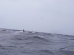 IMGP4935.JPG