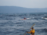 DSC01404.JPG