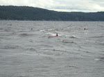 DSC01438.JPG