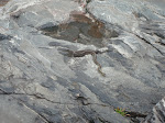 DSC01378.JPG