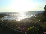 DSC01442.JPG