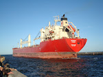 DSC01551.JPG