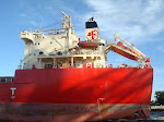 DSC01549.JPG