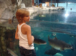 DSC01572.JPG