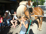 DSC01656.JPG