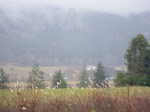 IMGP0186.JPG