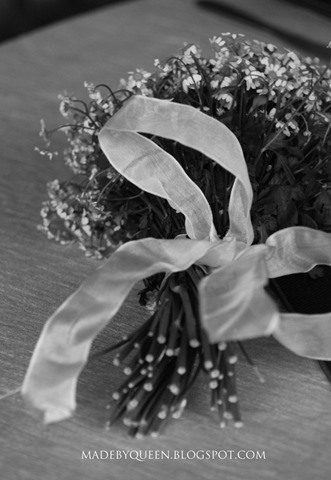 [Copia-di-DSC_8595[3].jpg]