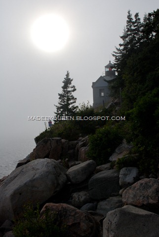[DSC_1600[7].jpg]