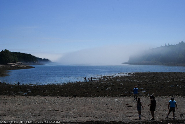 [DSC_1405[3].jpg]