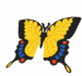 mariposas (12)
