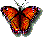 mariposas (1)