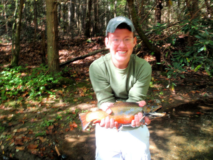 Fly Fishing for Brook Trout
