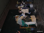 100105_Griselda_Nadal_Cavalcada Reis1.JPG