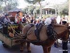 DSC06017.jpg