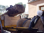DSC06024.jpg