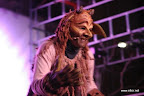 IMG_8978.JPG