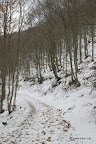 IMG_9398.JPG