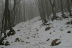 IMG_9199.JPG