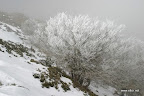 IMG_9325.JPG