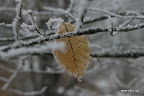 IMG_9225.JPG