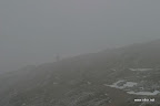 IMG_9278.JPG