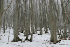 IMG_9188.JPG
