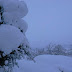 P1100046.JPG