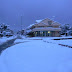 P1100056.JPG