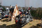DSC05559.JPG