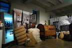 DSC05449.JPG