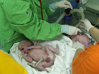 DSCF5079.JPG