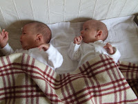 DSCF5435.JPG