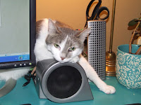 DSCF5923.JPG