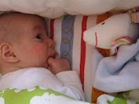 DSCF6054.JPG