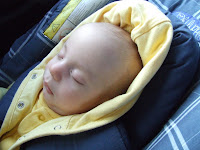 DSCF6226.JPG