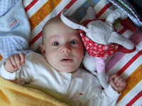 DSCF6363.JPG