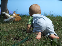DSCF0336.JPG
