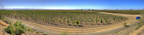 20090922-0843-845_Enhancer_pano.jpg