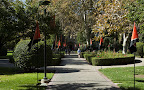 20091024-0887.jpg