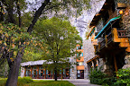 20090921-0511_2_3_details01.jpg