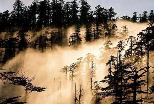 fantastic_nature_12.jpg