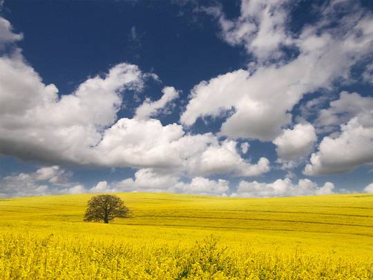 nature_photos_11.jpg
